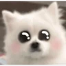 Stickers Cute doggy 🐶✧*