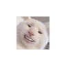 Stickers michis memes