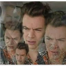 Stickers Harry Styles 🍉
