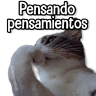 Stickers Gatitos Random🐱
