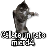 Stickers Gatitos Random🐱