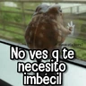 Stickers Memes de Animales🪴⭐