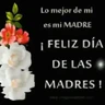 Stickers Día de las Madres💕💐