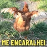 Stickers GALINHAS DEBOCHADAS 🐔