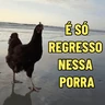 Stickers GALINHAS DEBOCHADAS 🐔