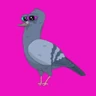 Stickers 🕊Paloma migajera 🙃