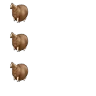 Stickers Spinning Horse (Fat Horse) 💫🐎