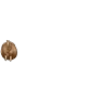 Stickers Spinning Horse (Fat Horse) 💫🐎