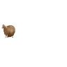 Stickers Spinning Horse (Fat Horse) 💫🐎