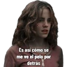 Stickers Harry Potter 🪄