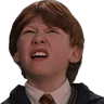 Stickers Harry Potter 🪄