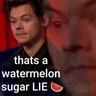 Stickers Harry Styles 🥝