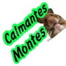 Stickers memes mexicanos