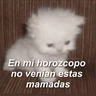 Stickers gatitos con frases 