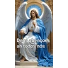 Stickers Frases lindas 