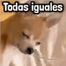 Stickers Mix Frases para Responder #➎