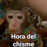 Stickers Monos con Frases 3🐒