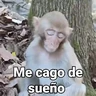 Stickers Monos con Frases 3🐒