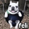 Stickers Más Reacciones #➊➏