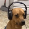 Stickers ouvindo música