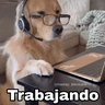 Stickers 🌀 Perros con Frases 🐕🫧