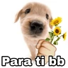 Stickers 🌀 Perros con Frases 🐕🫧