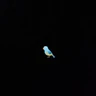Stickers 🧿Paloma Migajera🍞🕊️