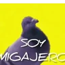 Stickers 🧿Paloma Migajera🍞🕊️