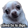 Stickers 🐾 Perritos y Reacciones! 🔝