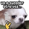 Stickers 🐾 Perritos y Reacciones! 🔝