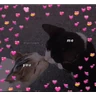 Stickers stikers de amor acá bien vrgas