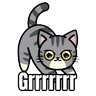Stickers My cat memes 😂🐈