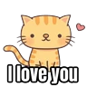 Stickers My cat memes 😂🐈