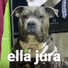 Stickers Ella jura 💅🏻❗❗❗ TikTok