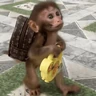 Stickers 🐵🐒 Monos Tiernos🐒🐵