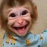 Stickers 🐵🐒 Monos Tiernos🐒🐵