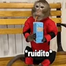 Stickers Monos graciosos contestones 🐒