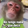 Stickers Monos graciosos contestones 🐒
