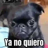 Stickers 🎬 Memes en movimiento 😂