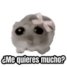 Stickers 🎬 Memes en movimiento 😂