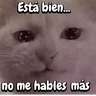 Stickers FuNnY MeMes con texto ✨