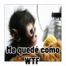 Stickers Frases estilo mono 🙈🙉
