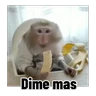 Stickers Frases estilo mono 🙈🙉