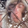 Stickers 🐒 Monos Random 2 🇲🇽