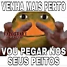 Stickers Sapecagens