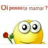 Stickers Sapecagens