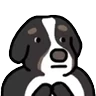 Stickers Perros random animados 🐕🐶🐾 