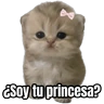 Stickers Memes - gatos bebes 🐱💕😂