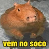Stickers capivara | capibara 